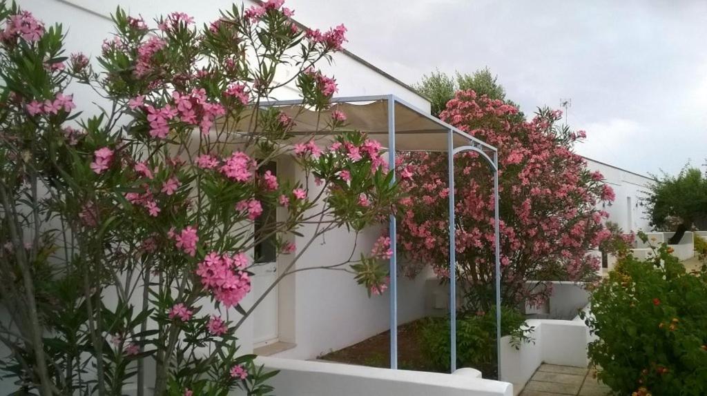 Tenuta De Marco Presicce Exterior foto